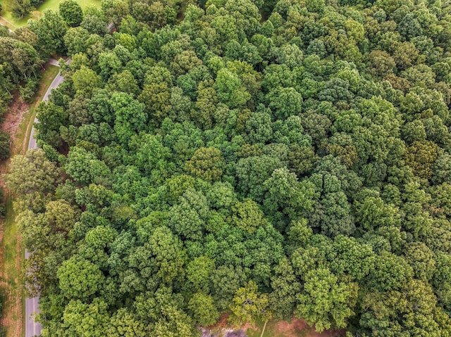 0 Iron Hill Rd, Burns, TN 37029 - photo 14