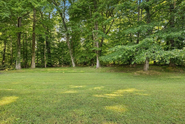 315 Froedge Dr, Lafayette, TN 37083 - photo 50