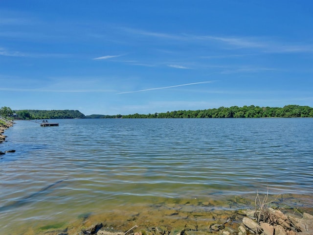 168 Mackin Rd, Linden, TN 37096 - photo 26