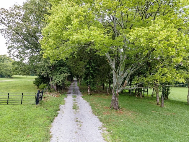 0 SE Tater Peeler Rd, Lebanon, TN 37090 - photo 7