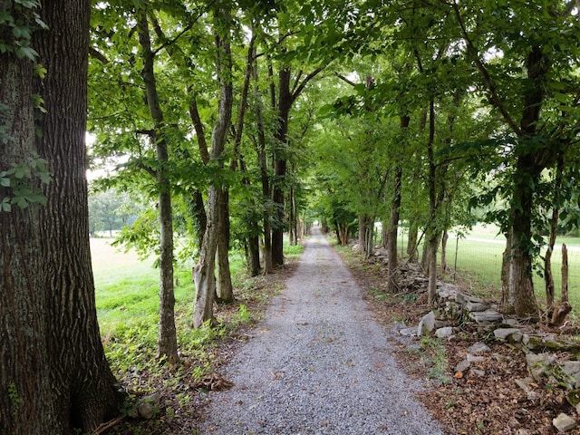 0 SE Tater Peeler Rd, Lebanon, TN 37090 - photo 2