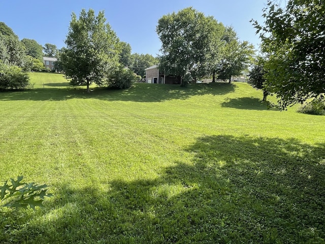 928 Sable Dr, Clarksville, TN 37042 - photo 31