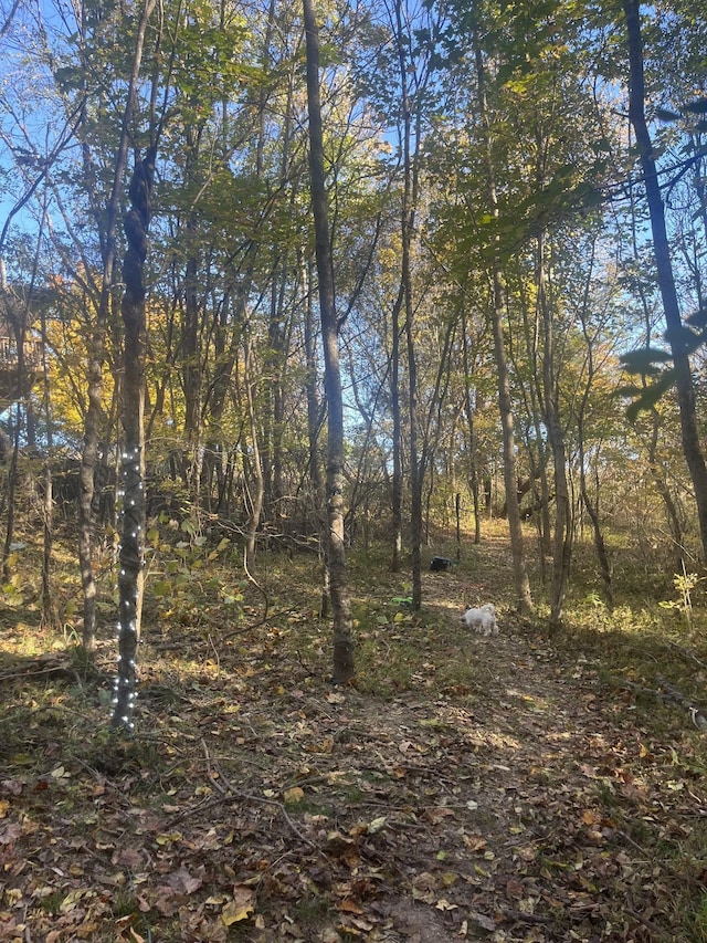 1157 Noah Reeves Rd, Ashland City, TN 37015 - photo 62