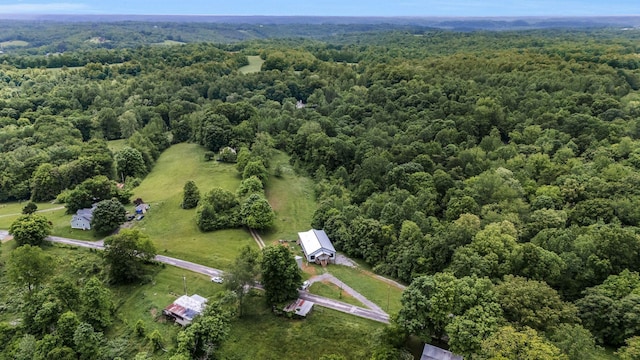 1157 Noah Reeves Rd, Ashland City, TN 37015 - photo 34