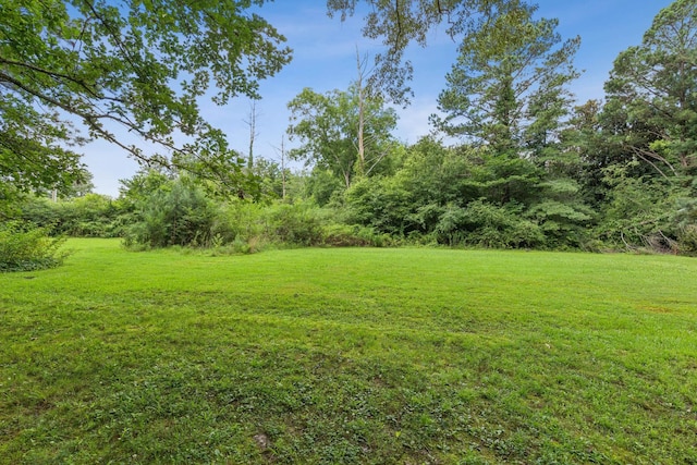 111 Ragan St, Tullahoma, TN 37388 - photo 27