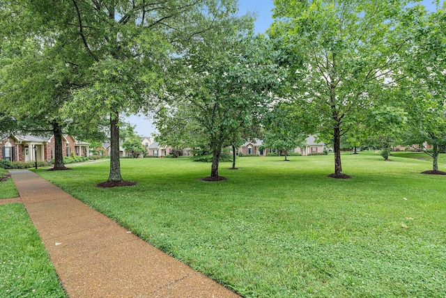 8027 Sunrise Cir, Franklin, TN 37067 - photo 38