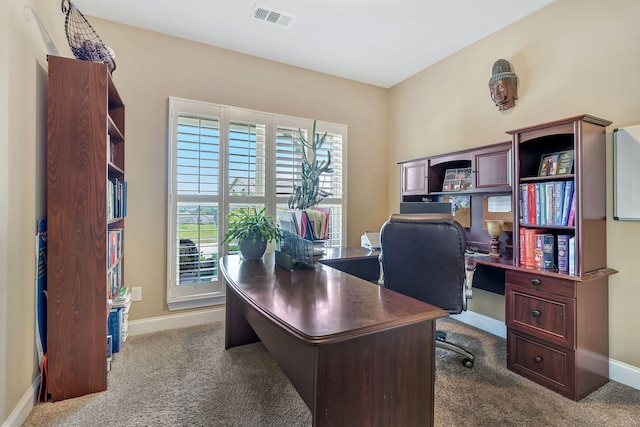 6785 Pleasant Gate Ln, College Grove, TN 37046 - photo 23