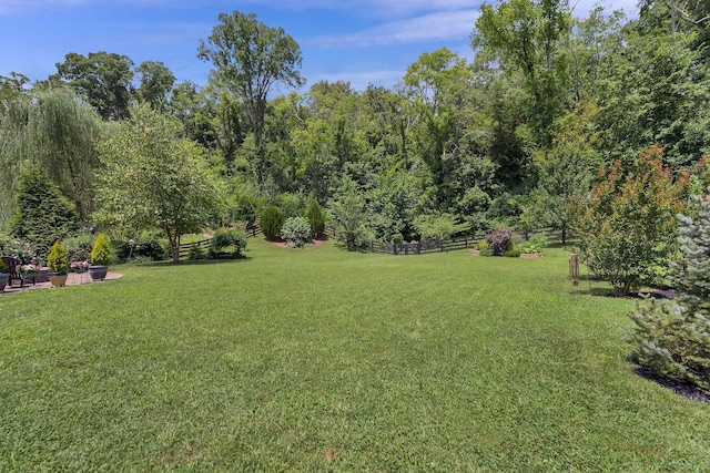 6785 Pleasant Gate Ln, College Grove, TN 37046 - photo 33