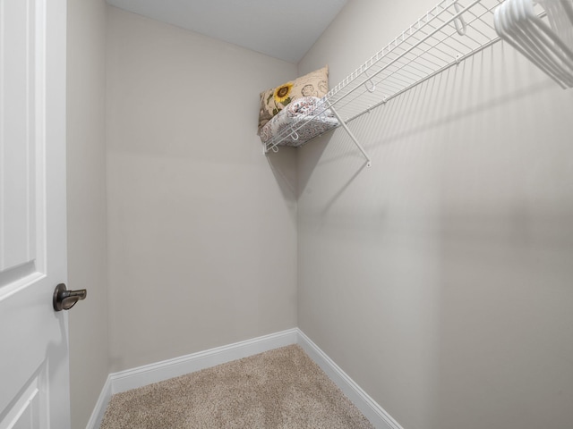 806 Casen Ct, Clarksville, TN 37040 - photo 38