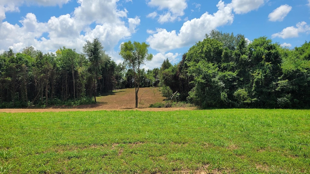 5 Mount Lebanon Church Rd, Shelbyville, TN 37160 - photo 2