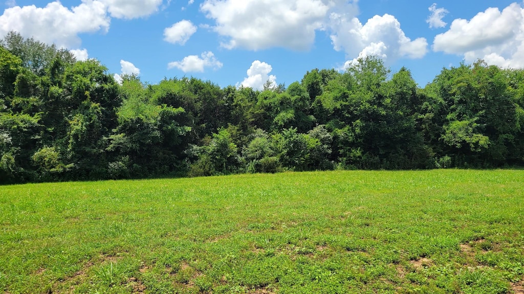 5 Mount Lebanon Church Rd, Shelbyville, TN 37160 - photo 1