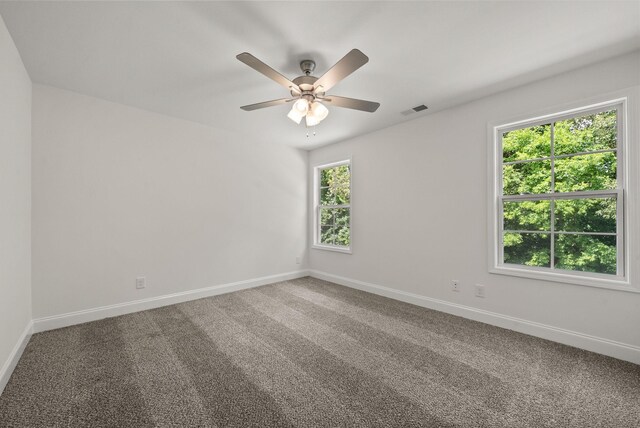 1245 Elizabeth Ln, Clarksville, TN 37042 - photo 34
