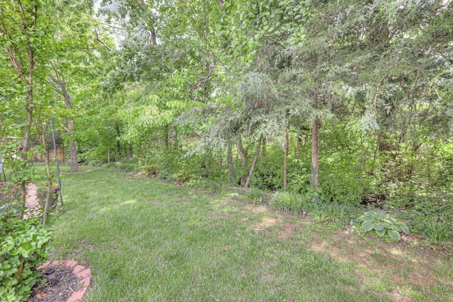 1008 Beverly Ln, Spring Hill, TN 37174 - photo 32