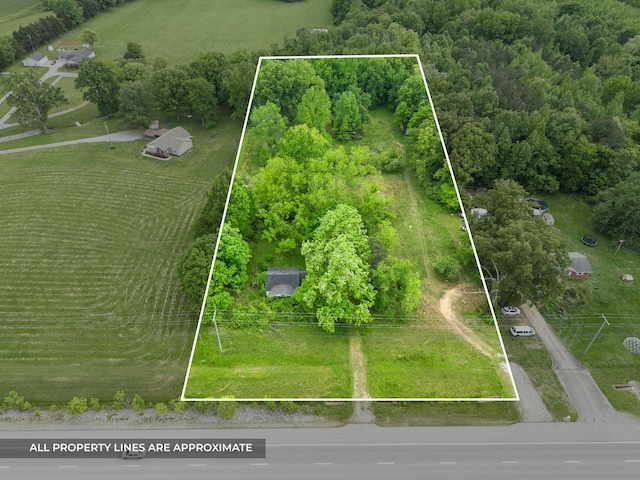 4888 Dover Rd, Indian Mound, TN 37079 - photo 4