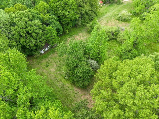 4888 Dover Rd, Indian Mound, TN 37079 - photo 13