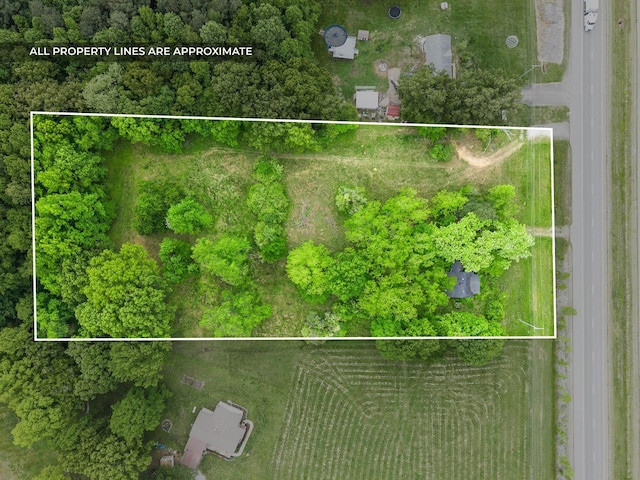4888 Dover Rd, Indian Mound, TN 37079 - photo 3