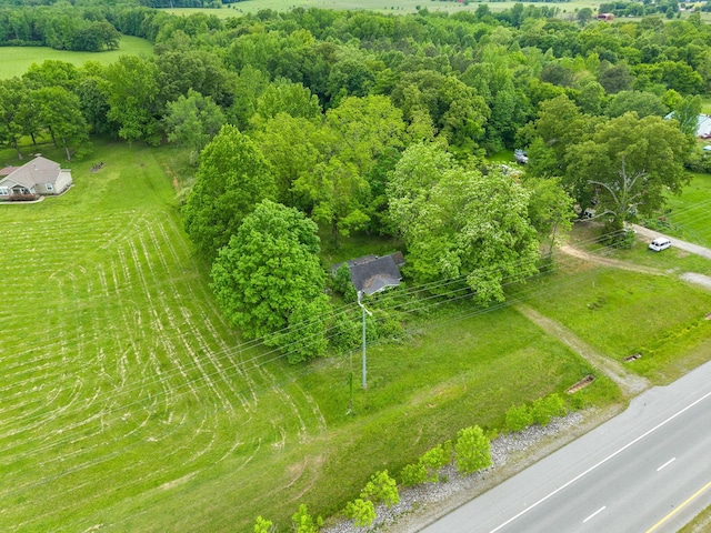 4888 Dover Rd, Indian Mound, TN 37079 - photo 9