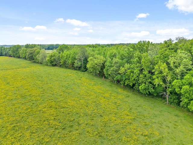 4888 Dover Rd, Indian Mound, TN 37079 - photo 23