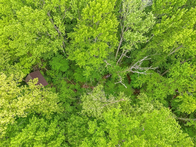 4888 Dover Rd, Indian Mound, TN 37079 - photo 21
