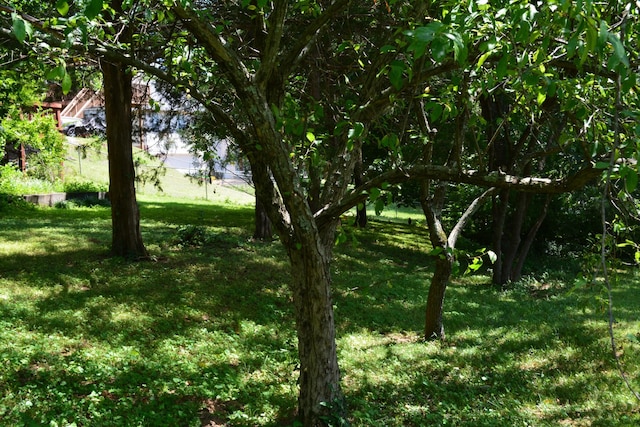 256 Cedarview Dr, Antioch, TN 37013 - photo 23