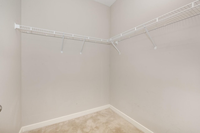410 Rosedale Ave Unit 302, Nashville, TN 37211 - photo 12