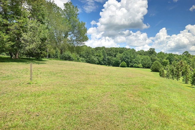 1995 Spencer Mill Rd, Burns, TN 37029 - photo 8