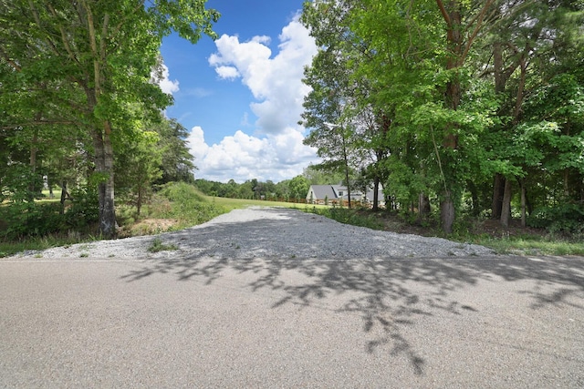1995 Spencer Mill Rd, Burns, TN 37029 - photo 6