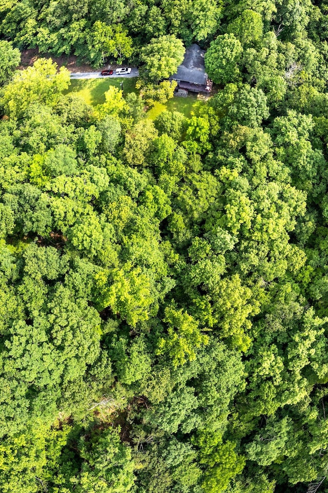 5311 Little Marrowbone Rd, Ashland City, TN 37015 - photo 55