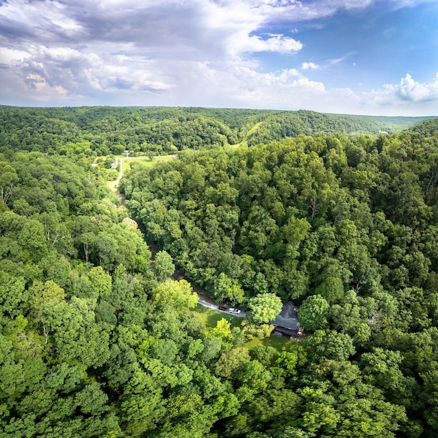 5311 Little Marrowbone Rd, Ashland City, TN 37015 - photo 11