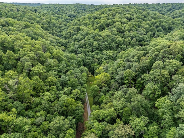 5311 Little Marrowbone Rd, Ashland City, TN 37015 - photo 53