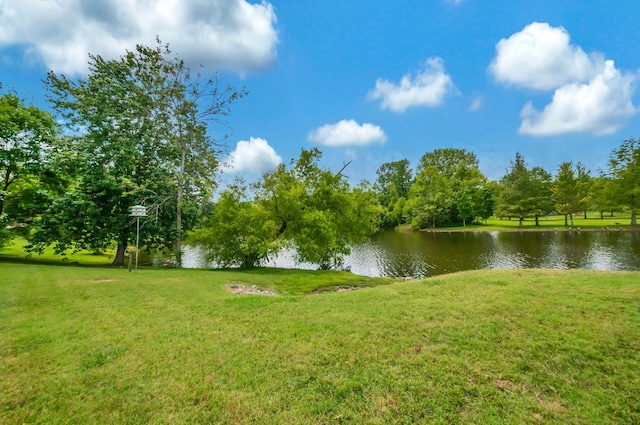 305 Whitewater Way, Franklin, TN 37064 - photo 54