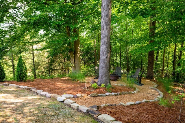 806 Waterthrush Ln, Chattanooga, TN 37419 - photo 32
