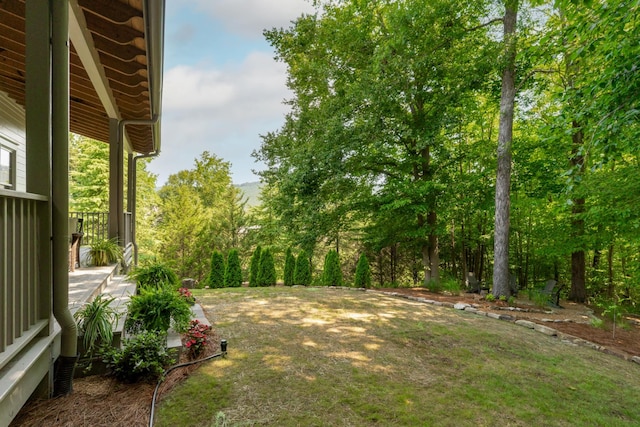 806 Waterthrush Ln, Chattanooga, TN 37419 - photo 38