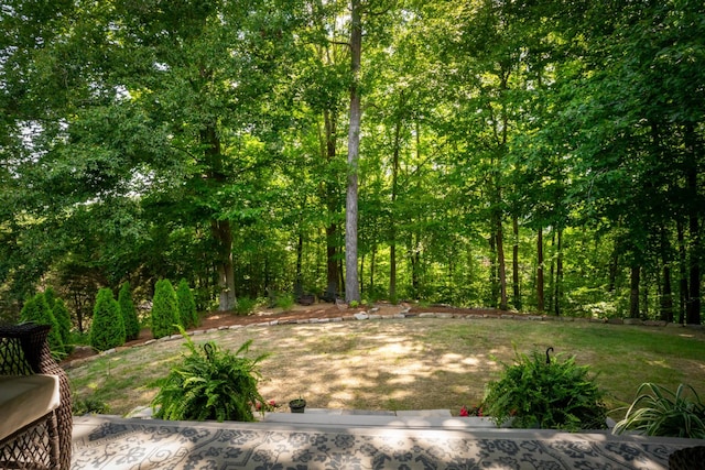 806 Waterthrush Ln, Chattanooga, TN 37419 - photo 43