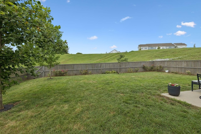905 Carraway Ln, Spring Hill, TN 37174 - photo 52