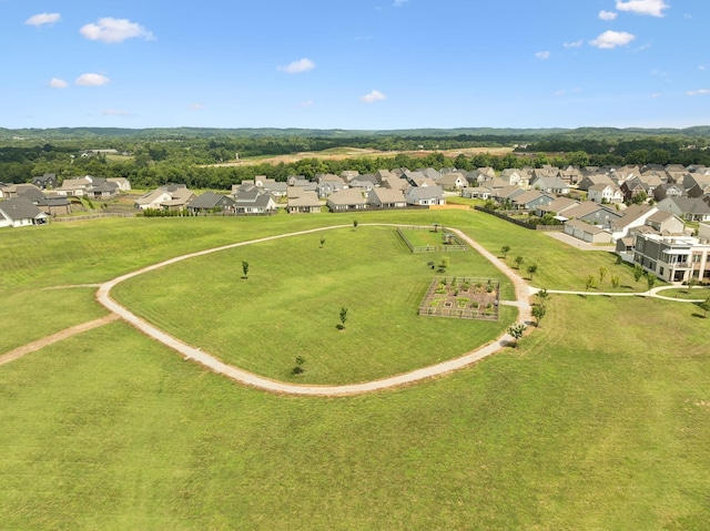 905 Carraway Ln, Spring Hill, TN 37174 - photo 63