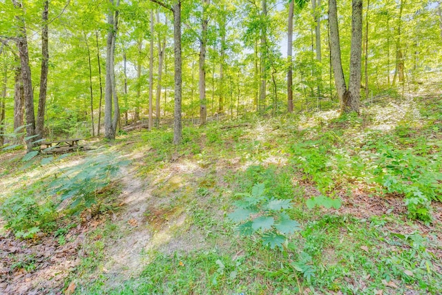 3950 Garretts Chapel Rd, Chickamauga, GA 30707 - photo 25