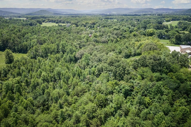 0 Bone Cave Rd, Rock Island, TN 38581 - photo 12