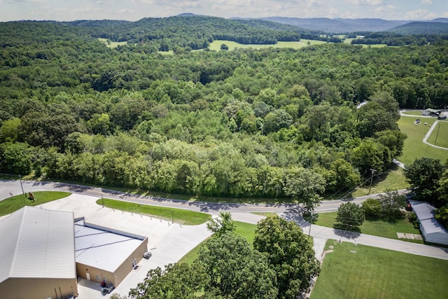 0 Bone Cave Rd, Rock Island, TN 38581 - photo 9
