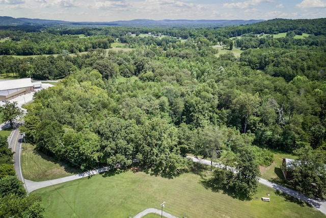 0 Bone Cave Rd, Rock Island, TN 38581 - photo 10
