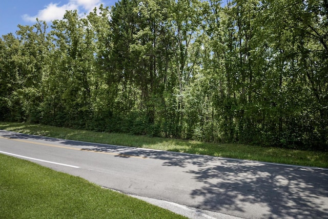 0 Bone Cave Rd, Rock Island, TN 38581 - photo 3