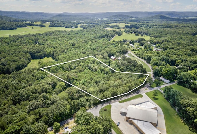 0 Bone Cave Rd, Rock Island, TN 38581 - photo 6