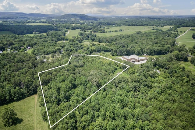 0 Bone Cave Rd, Rock Island, TN 38581 - photo 8
