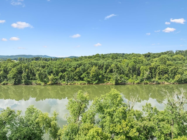 365 Kennys Bend Ln, Carthage, TN 37030 - photo 36