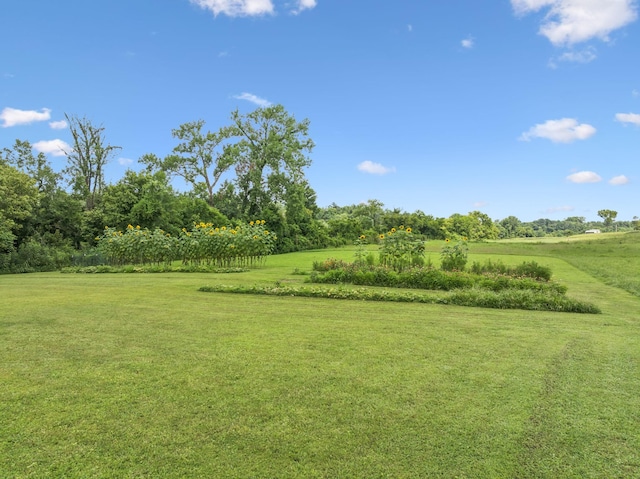 365 Kennys Bend Ln, Carthage, TN 37030 - photo 30