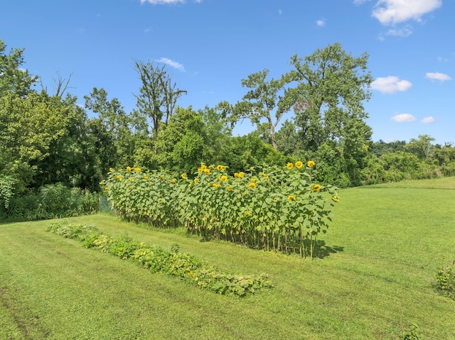 365 Kennys Bend Ln, Carthage, TN 37030 - photo 35