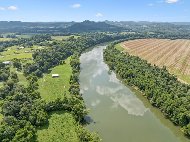 365 Kennys Bend Ln, Carthage, TN 37030 - photo 39