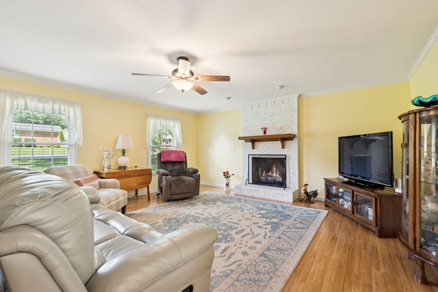 519 Irongate Blvd, Murfreesboro, TN 37129 - photo 7