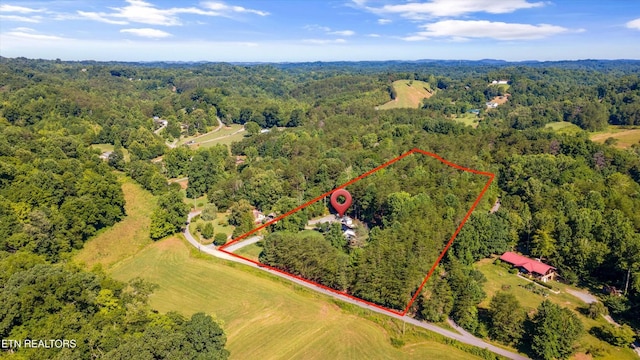 686 Thomas Rd, Sevierville, TN 37876 - photo 3