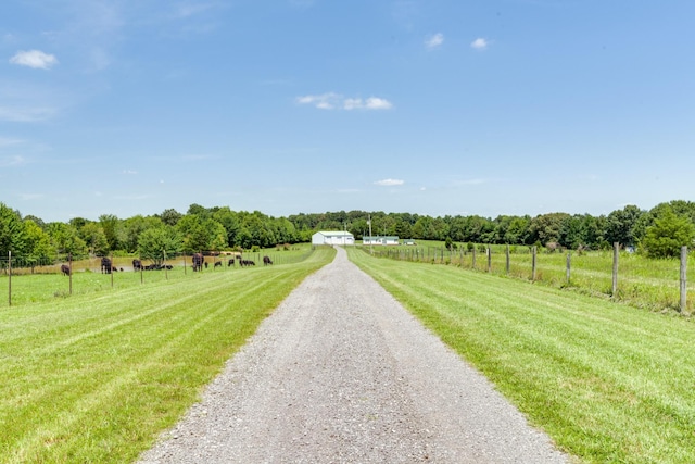 1250B Mount Olive Rd, Westmoreland, TN 37186 - photo 2